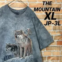 希少XL☆THE MOUNTAIN ビッグロゴTシャツ タイダイ 狼 ウルフ - メルカリ