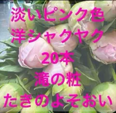 るっち様 リクエスト 3点 まとめ商品