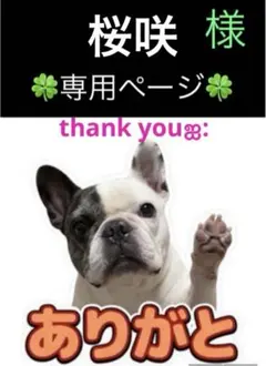 桜咲様 リクエスト 4点 まとめ商品