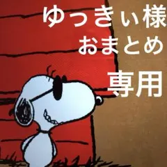 ゆっきぃ様 リクエスト 3点 まとめ商品