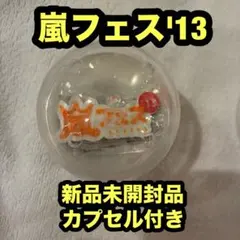嵐 ライブ グッズ 2026 歴代ライブロゴマグネット カプセル付 - メルカリ