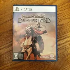 【値下げ不可】PS5 MOUNT & BLADE II BANNERLORD