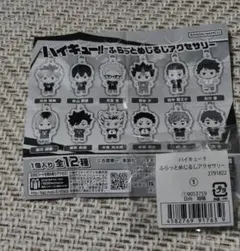 ハイキュー！ふらっとめじるしアクセサリー　日向翔陽