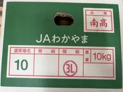 神流華衣様 専用 予約品 南高梅 8キロ 成熟 大きめ - メルカリ