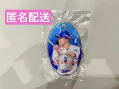 中日ドラゴンズ ガチャ 大島洋平 PVCクリアチャーム