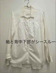 新品】kiiris クロップドハーフスリーブシャツ きほちゃん 半袖 シャツ