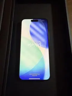 iPhone 15 Plus 128GB ブラックSIMフリーバッテリー89%