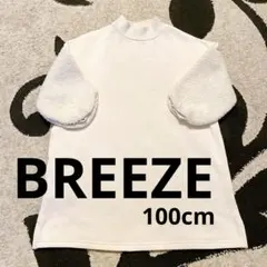 Item thumbnail for item 9d1d09d9-811b-4650-95a6-7990231e4cbd