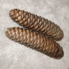 Item thumbnail for item b5d044b7-98ca-4f1e-b357-bf37294e0956