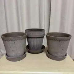 2026年最新】bergs potterの人気アイテム - メルカリ