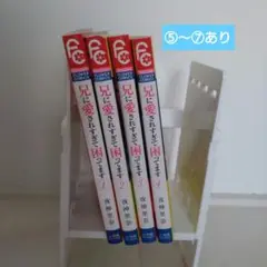 兄に愛されすぎて困ってます ①～④ 4冊セット まとめ売り 即購入️⭕️匿名配送