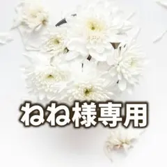 ねね様✨️専用