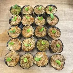 めろ 詳細はプロフィールまで♩様 リクエスト 2点 まとめ商品