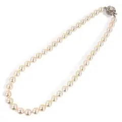 ☆美品 アコヤ真珠 8.5㎜ あこや パール SILVER テリ良 ネックレス