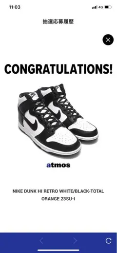 Nike Dunk Hi Retro パンダ