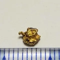 ⑤天然砂金 自然金 カリフォルニア産 砂金 - メルカリ