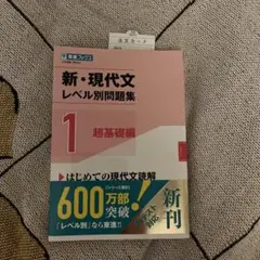 【新品未使用】新・現代文レベル別問題集①超基礎編