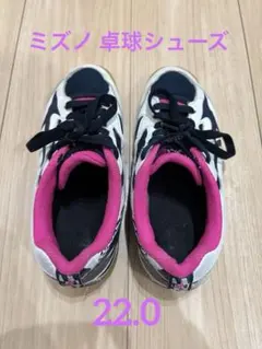 Mizuno 卓球シューズ 22.0cm ミズノ