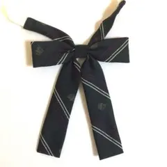 Item thumbnail for item 76ca2acd-3b48-4296-89c0-16d2d1448af0