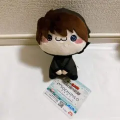 忍たま乱太郎 もちぴこ ぬいぐるみ 土井半助