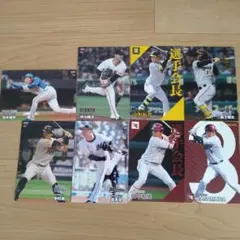 プロ野球チップスカード2024　8枚セット