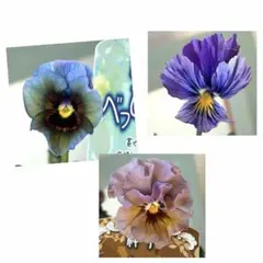 ゆー☆様　リクエスト　おまとめ3点