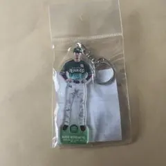 Item thumbnail for item daee73dd-3223-4beb-868c-34d1945fd9a3