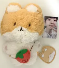 トレギ 20cmサイズぬいぐるみ EXO ベッキョン터래기 着せ替え服セット トレギ 20cmサイズぬいぐるみ EXO ベッキョン터래기 着せ替え服セット