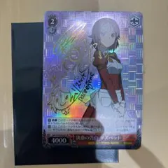 sp ヴァイスシュヴァルツ