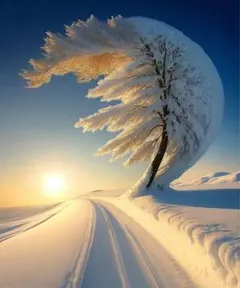 黒ねこ様 リクエスト 3点 まとめ商品