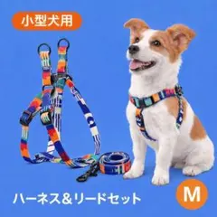 犬用ハーネス＆リードセット M カラフル 小型犬 中型犬 散歩用 ペット用品
