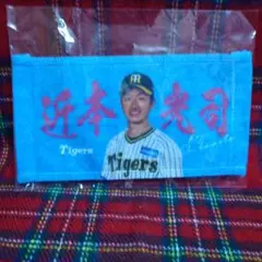 Item thumbnail for item d38d86f4-224d-4e82-9de2-005610b18656