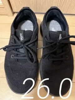 allbirds 26.5