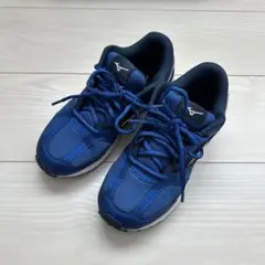 Item thumbnail for item 284d7893-284b-4f8b-a7f2-bd224c5ad8a5