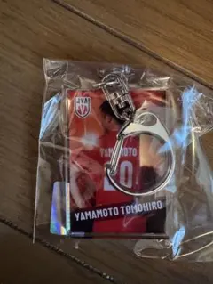 新品未開封】 山本智大選手 男子バレー 日本代表 アクリルキーホルダー
