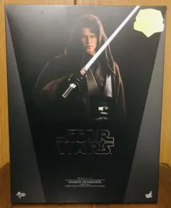 2026年最新】ホットトイズ アナキン ダークサイドの人気アイテム