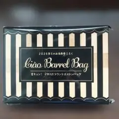 ちゃお8月号付録 Ciao Barrel Bag 2WAYボストンバッグ