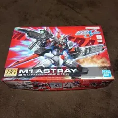 HG M1 ASTRAY