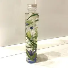 식물 표본관