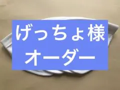 Item thumbnail for item 99d6a5ba-b32b-48db-ae5e-e9c78fc5f3b9