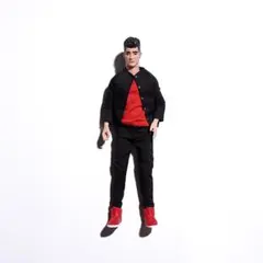 Rare ONE DIRECTION figure doll