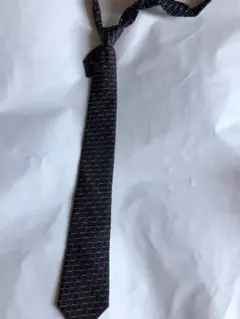 Item thumbnail for item 9880e750-47f2-420f-a83f-2bf177b116e9