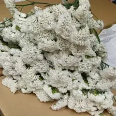 みこり様 リクエスト 3点 まとめ商品