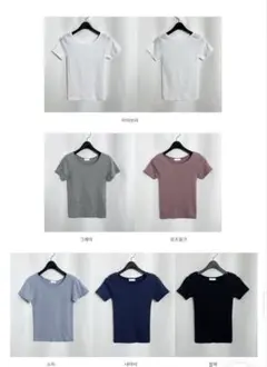 FREEサイズ 半袖Tシャツ 6色展開