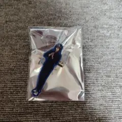 新テニスの王子様 ラウンドワン アクリルバッジ 不二周助