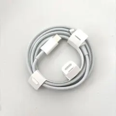 タイプC ライトニング変換ケーブル apple純正