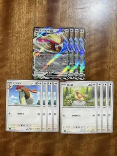 ポケモンカード ピジョットex マッハサーチ 進化ライン