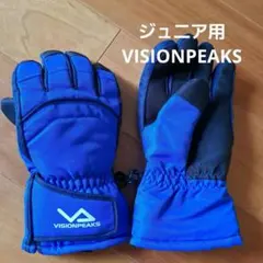 子供用スキーグローブVISIONPEAKS 青 グローブ VPJ1370K103