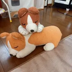 コーギー　ぬいぐるみ2匹
