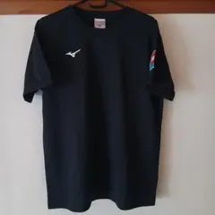 Item thumbnail for item 7f671415-7b24-44b4-b2a8-acf6e45c8207